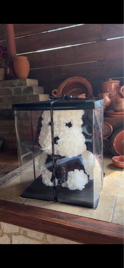 Snoopy Arrangement