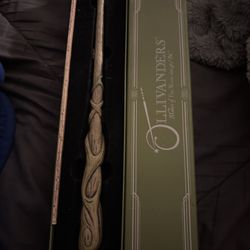 Harry Potter wand