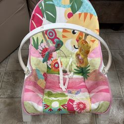 Fisher Price Infant To Toddler Rocker/Bouncer 