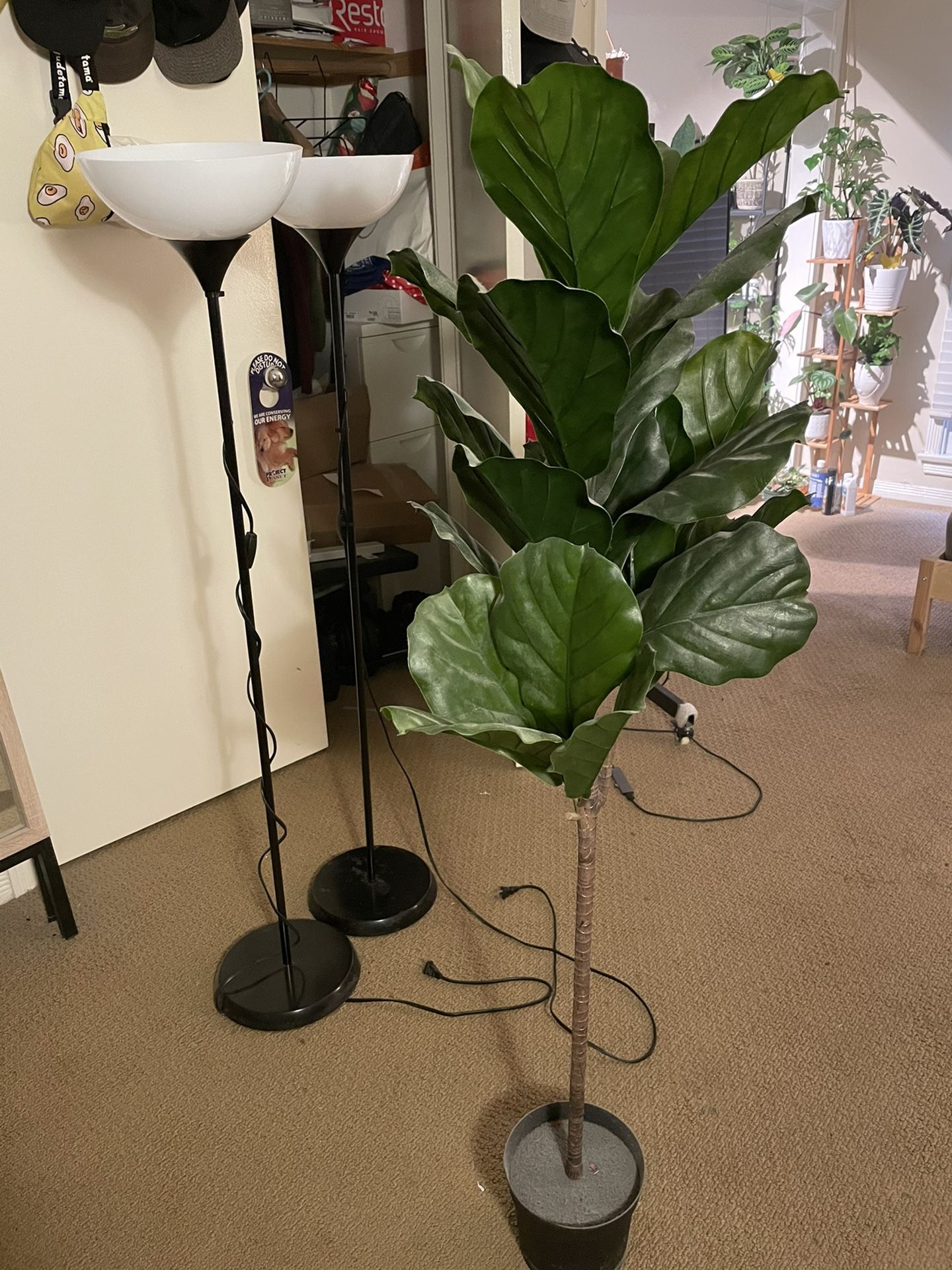 IKEA Fake Fig Tree for Sale in Los Angeles, CA OfferUp