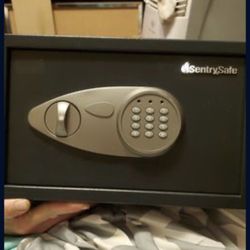 Gun Safe / Sentry Safe 