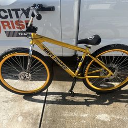 SE Fast Ripper Gold Bling 29inch (2025)