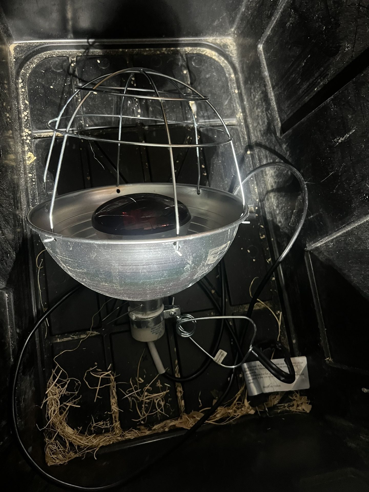 Chicken Warmer Lamp