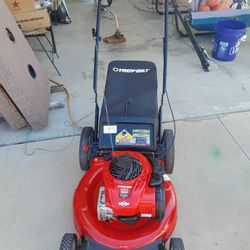  Lawnmower Troy-Bilt Briggs And Stratton PUSH 