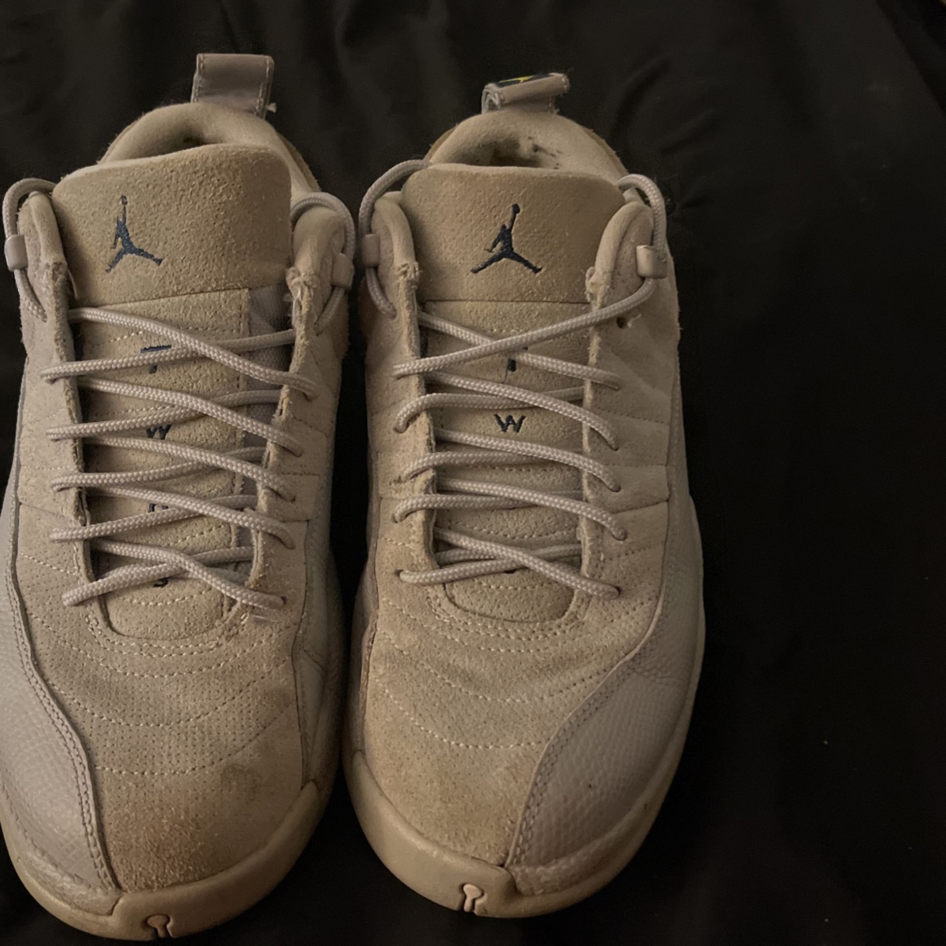 Jordan 12 Lows