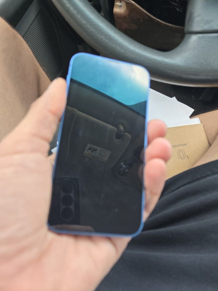 14 PR0 MAX 256GB $380 Obo