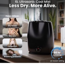 Air Humidifier 