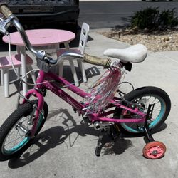 Ethos guardian Kids Bike 