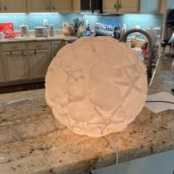 Seashell Globe 
