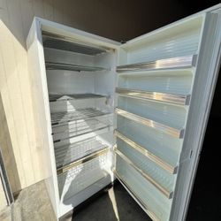 Large Stand Alone Freezer 