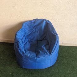 Big Joe Bean Bag Chair