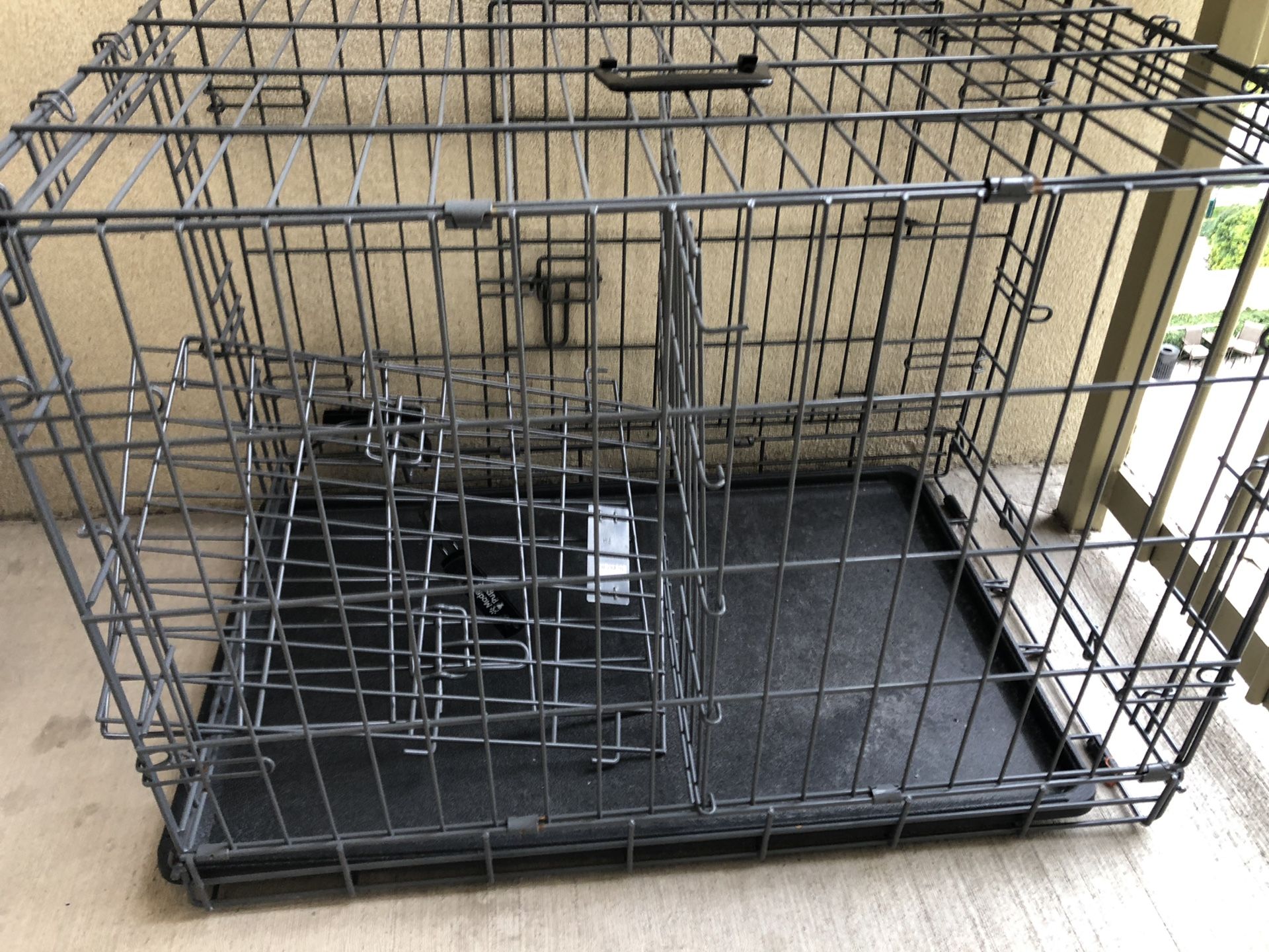 Medium sized puppy apartment by modern puppies