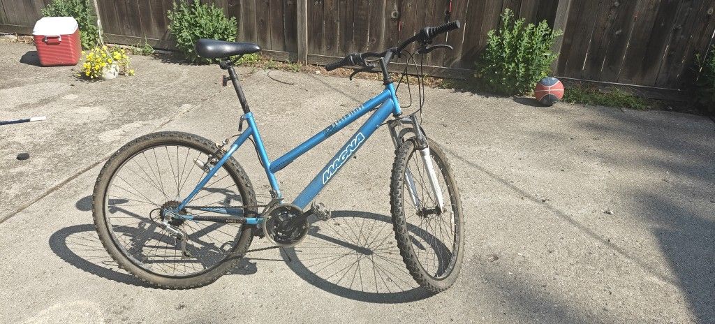 Adult Mountain Bike, Magna Great Divide