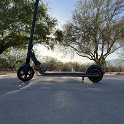 Segway Ninebot Zing E10