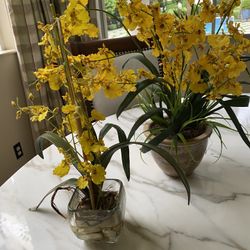 Silk Orchid Arrangements 