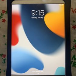 Apple iPad Mini 4th Generation 128GB Unlocked Like New!
