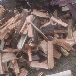 Fresh wood🪵🪓 I just Cut Someone Interested Let Me Know Please 