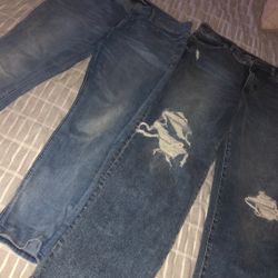 Express Ladies Jeans