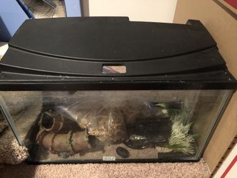 10 Gallon Fish Tank and Supplies