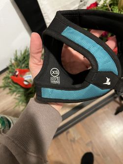 Extra Small Dog Harness 