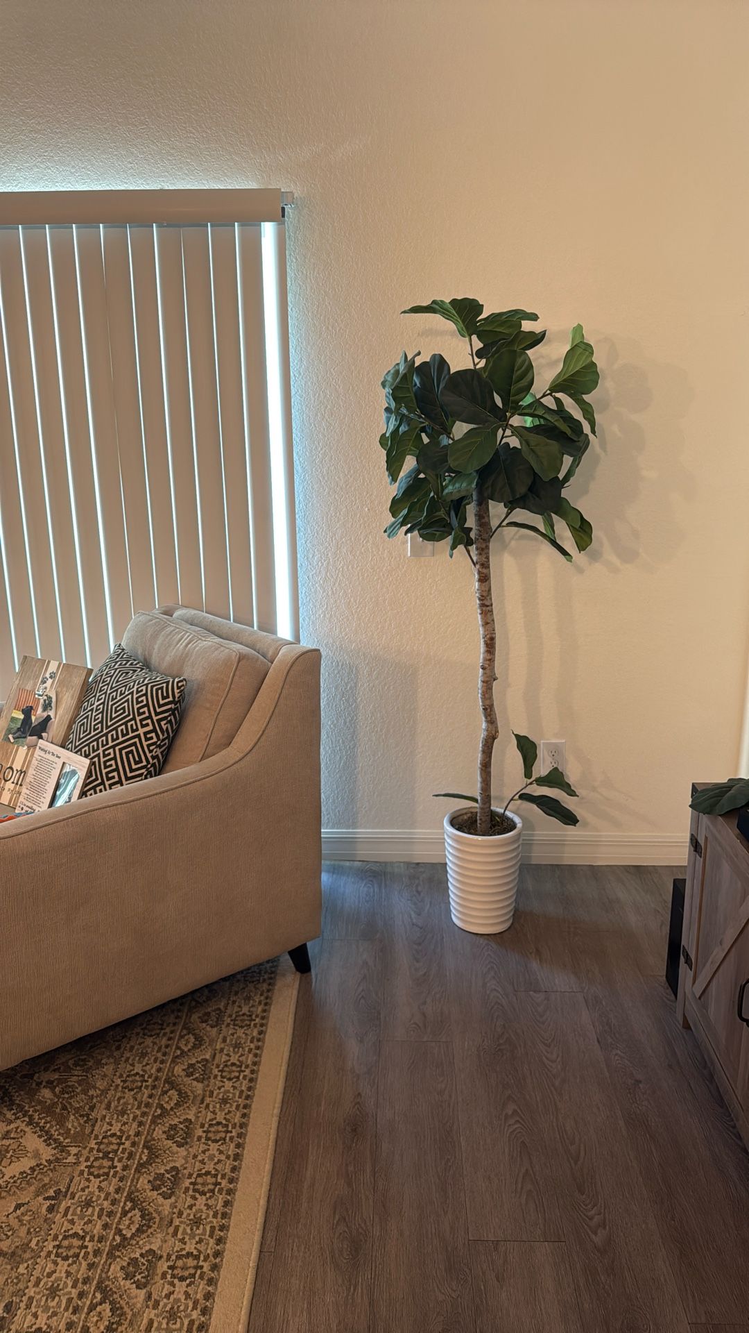 Fake Fig Plant 