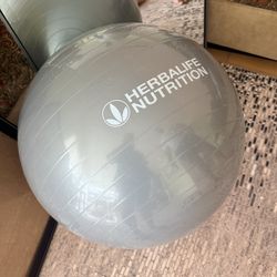 Exercise Ball