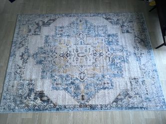 Living room  rug in great condition!