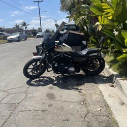 2023 Harley Davidson Iron 883 Sportster
