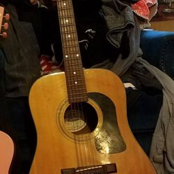 WASHBURN Acoustic Guitar