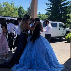 Quinceañera Dress 