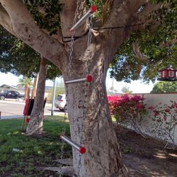 Emergency escape chain ladder