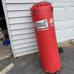 Everlast Punching Bag