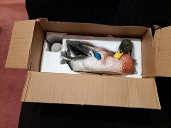 Mallard Floater Duck