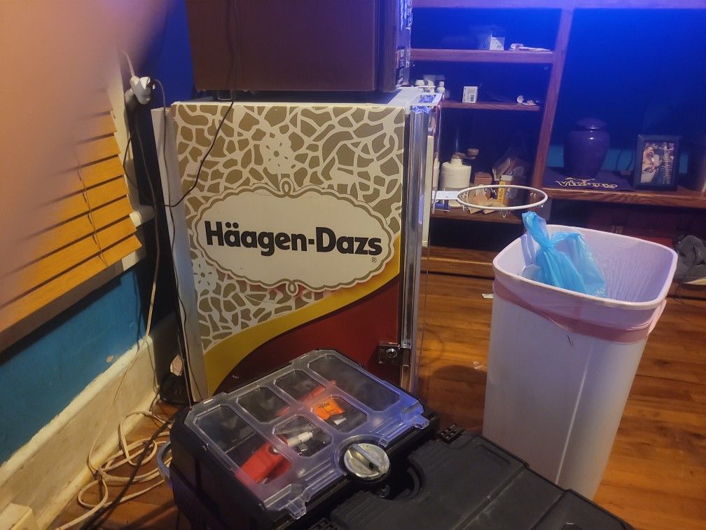 Medium Sized Stand Up Commercial Ice Cream Freezer