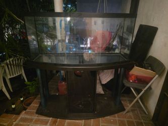 Large Bow Front Fish Tank with Stand 100+ gallon