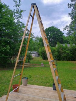 Werner 12 foot ladder