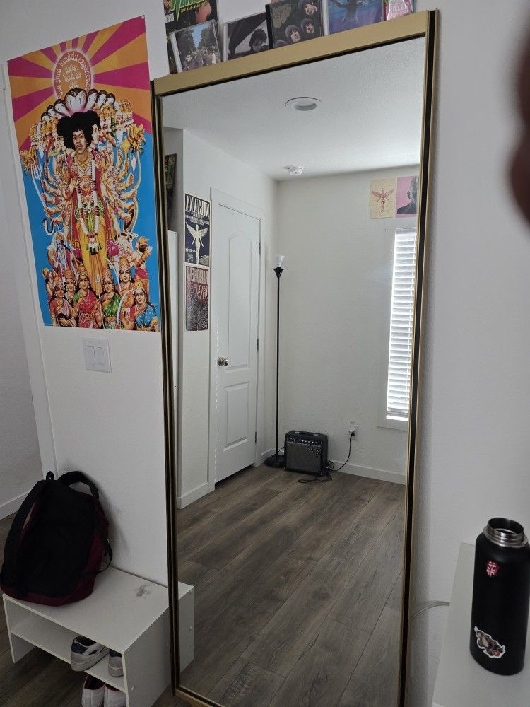 Closet Mirror 76x31 Inches