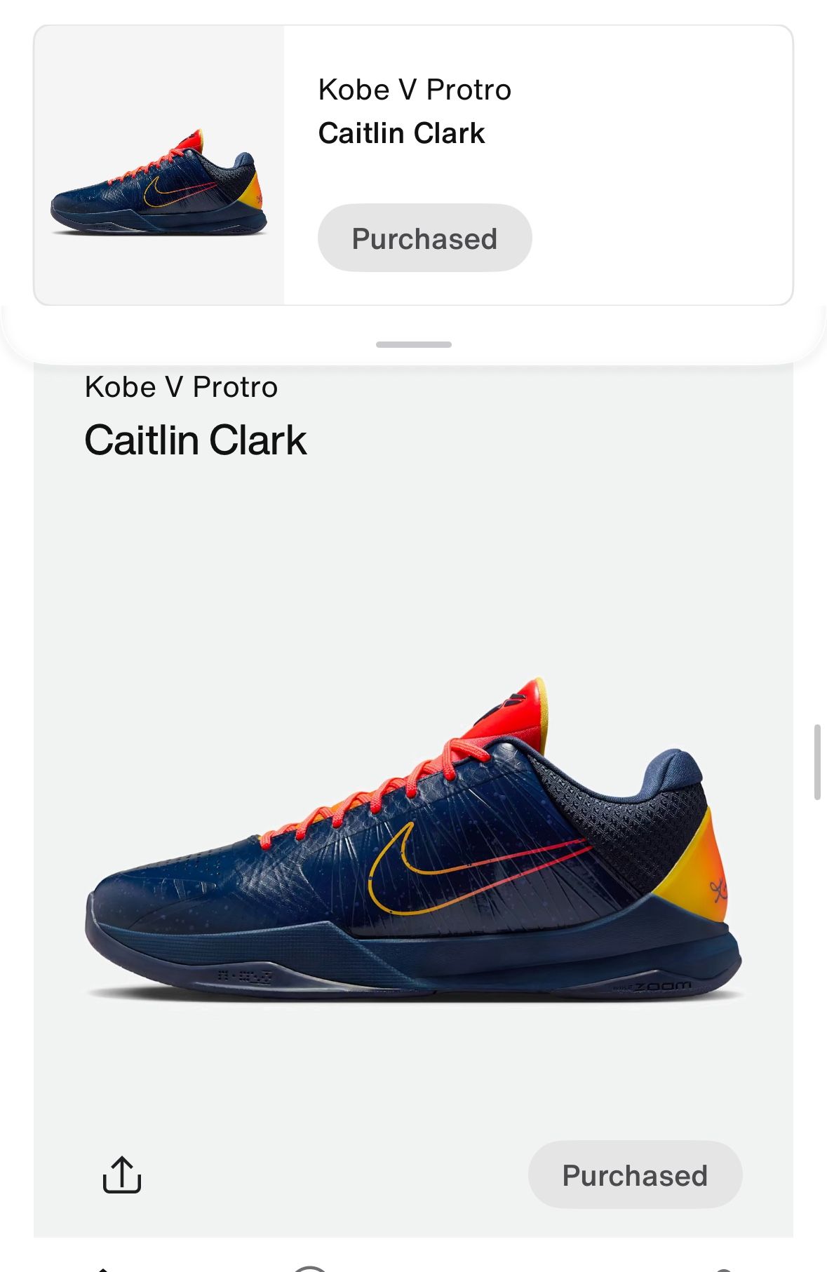 Caitlin Clark Kobe 5 Sz10 DS