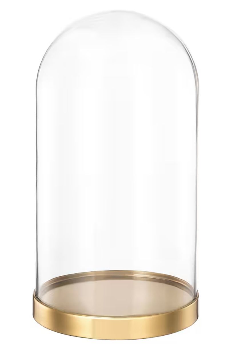 Glass dome with Gold base, 10 "