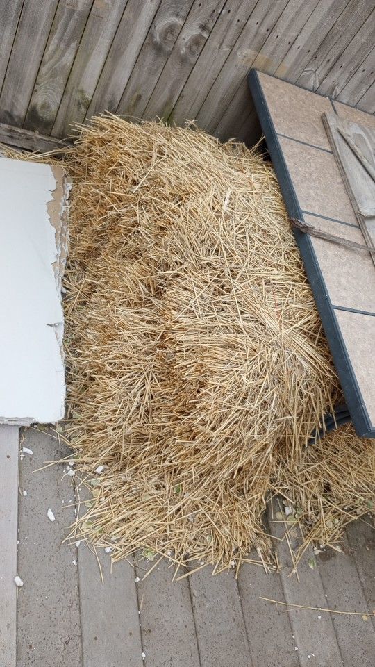 Straw