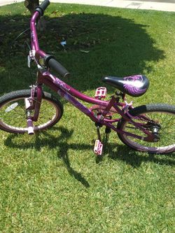 20 inch girls bike almost new