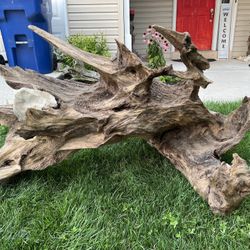 Huge Piece Of Decorative Drift Wood