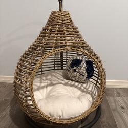 Beautiful Cat Hammock