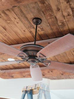 Gently Used Ceiling Fan