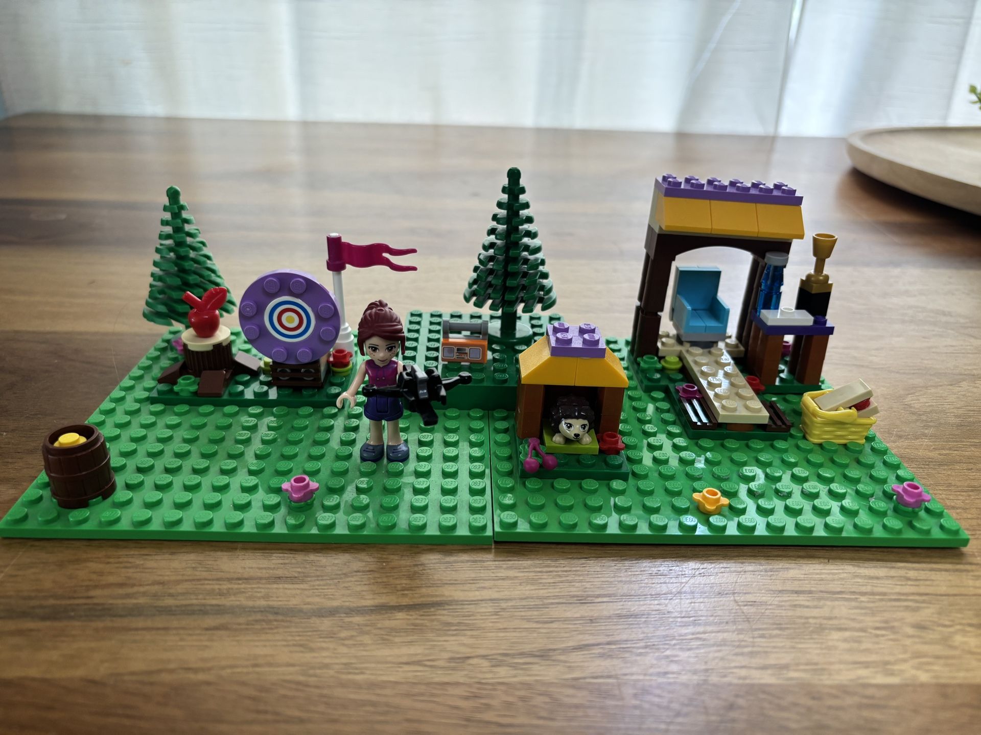 Lego Friend