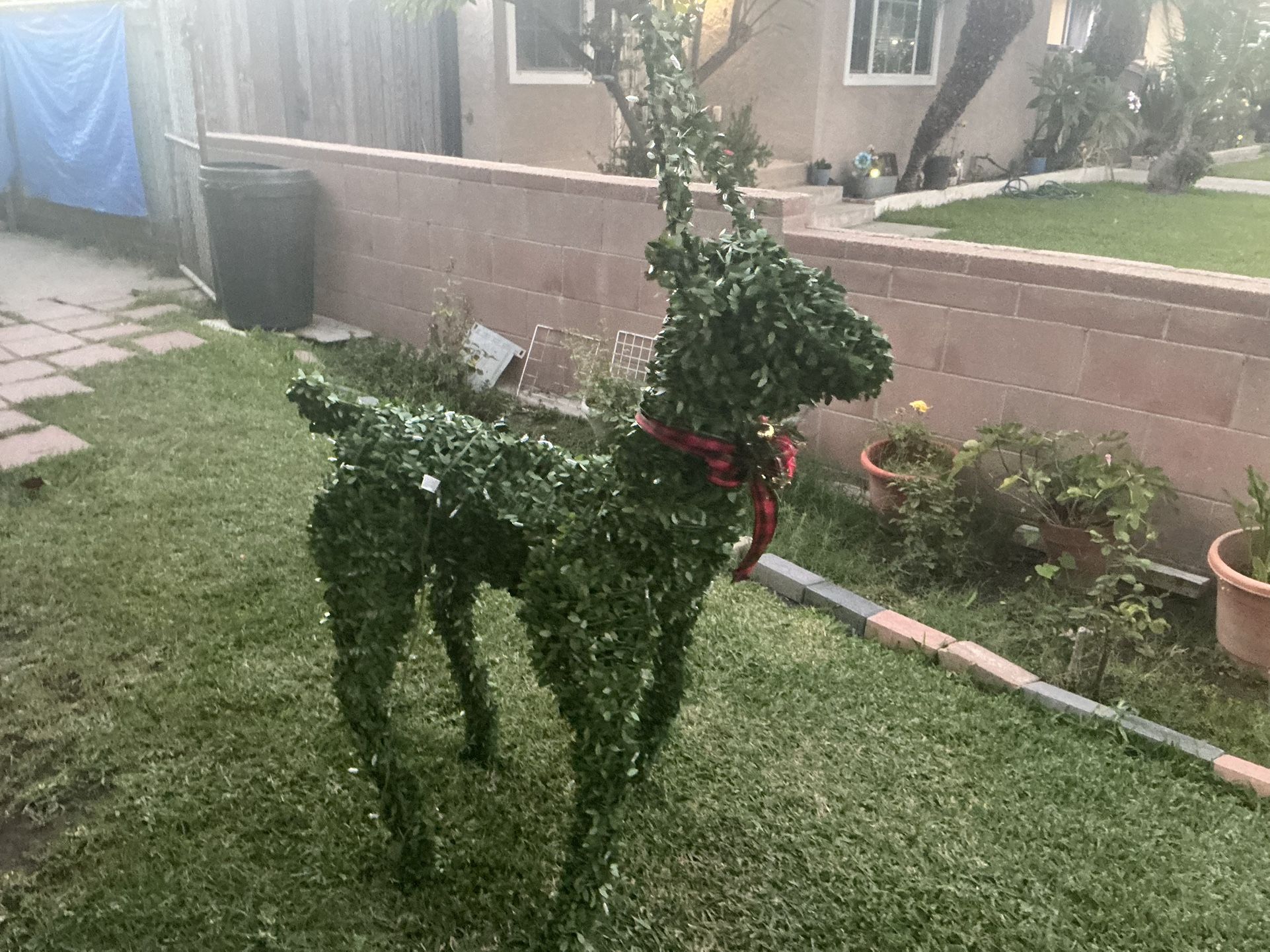 Christmas Green 60in LED Reindeer