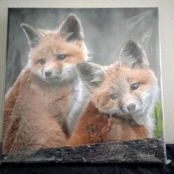 Canvas Print Art "Two Foxes"