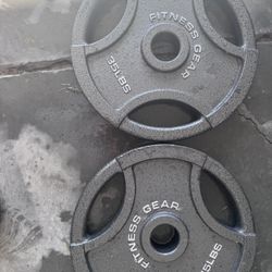 35 Lb Fitness Gear Plates