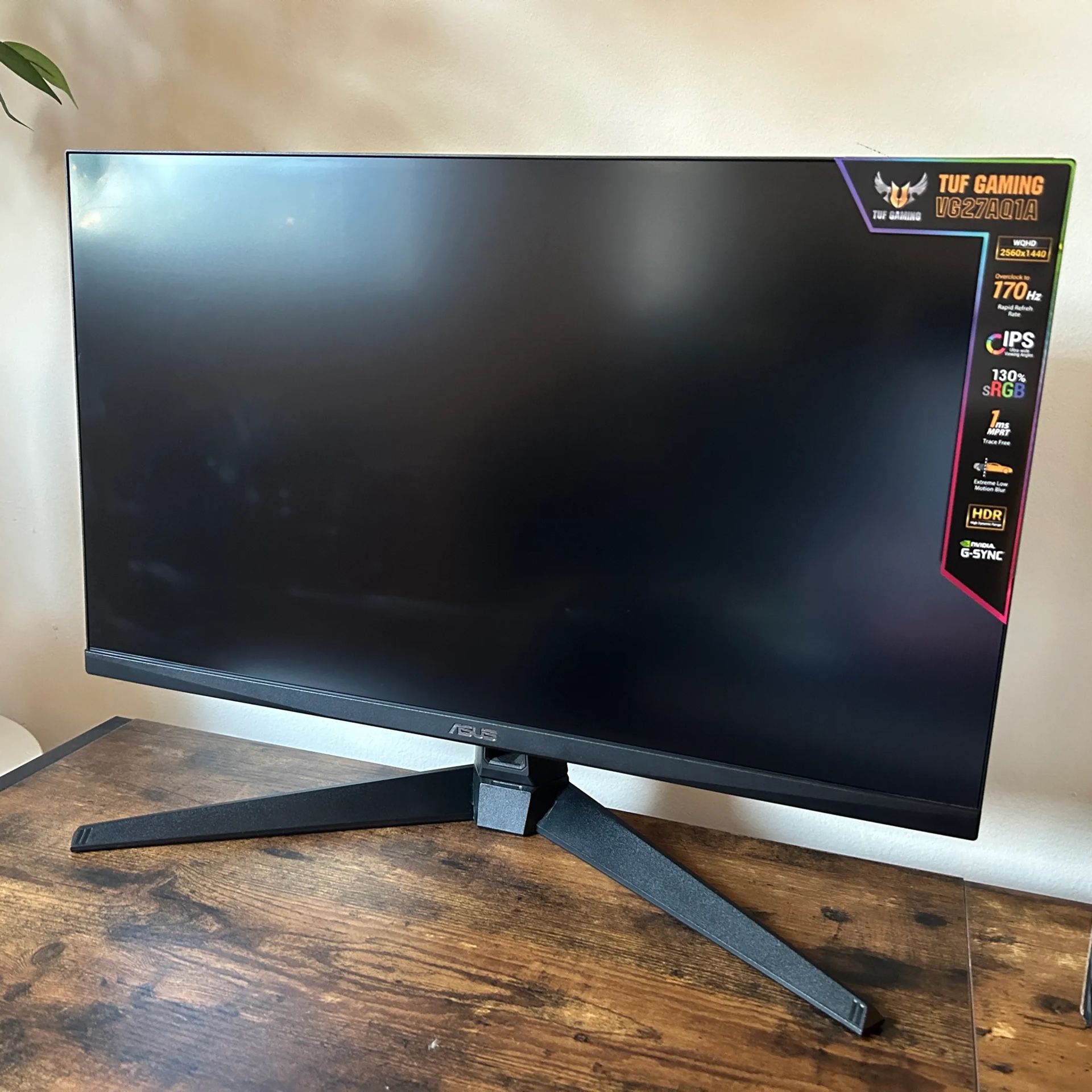 Asus 1440p / 170hz Monitor