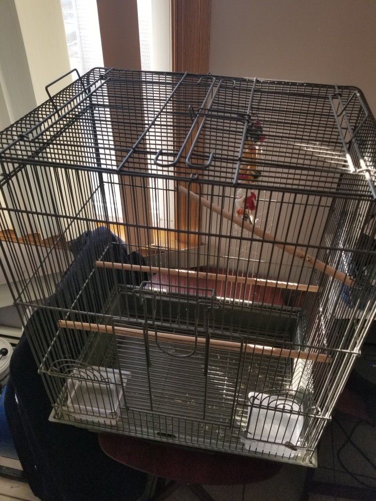 Bird Cage